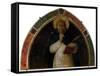 Saint Peter, Silence, 1435-Fra Angelico-Framed Stretched Canvas