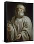 Saint Peter-Peter Paul Rubens-Framed Stretched Canvas