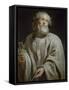 Saint Peter-Peter Paul Rubens-Framed Stretched Canvas