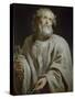 Saint Peter-Peter Paul Rubens-Stretched Canvas