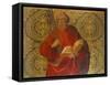 Saint Peter-The Master of Santa Maria del Campo-Framed Stretched Canvas