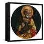 Saint Peter-Bartolomeo Caporali-Framed Stretched Canvas