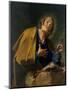 Saint Peter-Giovanni Battista Pittoni-Mounted Giclee Print