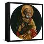 Saint Peter-Bartolomeo Caporali-Framed Stretched Canvas
