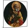 Saint Peter-Bartolomeo Caporali-Mounted Giclee Print