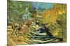 Saint-Remy-Vincent van Gogh-Mounted Premium Giclee Print