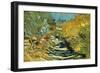 Saint-Remy-Vincent van Gogh-Framed Art Print