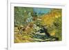 Saint-Remy-Vincent van Gogh-Framed Art Print