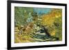 Saint-Remy-Vincent van Gogh-Framed Art Print