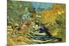 Saint-Remy-Vincent van Gogh-Mounted Art Print