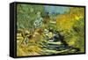 Saint-Remy-Vincent van Gogh-Framed Stretched Canvas