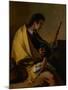 Saint Roch, C.1730-35-Giovanni Battista Tiepolo-Mounted Giclee Print