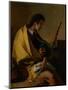 Saint Roch, C.1730-35-Giovanni Battista Tiepolo-Mounted Giclee Print