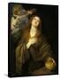 Saint Rosalia, 1622-1627-Sir Anthony Van Dyck-Framed Stretched Canvas