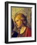 Saint's Face, Detail from Madonna with Child and Saints-Giovanni Battista-Framed Giclee Print