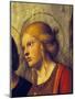 Saint's Face, Detail from Madonna with Child and Saints-Giovanni Battista-Mounted Giclee Print