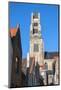 Saint Salvator's Cathedral, Historic Center of Bruges, UNESCO World Heritage Site, Belgium, Europe-G&M Therin-Weise-Mounted Photographic Print