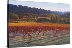 Saint Saturnin-lès-Apt-Kent Lovelace-Stretched Canvas