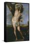 Saint Sebastian, 1656-Don Juan Carreno de Miranda-Framed Stretched Canvas
