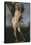 Saint Sebastian, 1656-Don Juan Carreno de Miranda-Framed Stretched Canvas