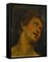 Saint Sebastian - a Modello-Federico Barocci-Framed Stretched Canvas