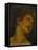 Saint Sebastian - a Modello-Federico Barocci-Framed Stretched Canvas