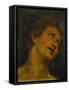 Saint Sebastian - a Modello-Federico Barocci-Framed Stretched Canvas