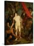 Saint Sebastian Bound for Martyrdom, C.1621-23-Sir Anthony Van Dyck-Stretched Canvas