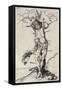 Saint Sebastian, C. 1480-1490-Martin Schongauer-Framed Stretched Canvas