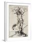 Saint Sebastian, C. 1480-1490-Martin Schongauer-Framed Giclee Print