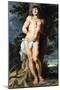 Saint Sebastian, C. 1618-Peter Paul Rubens-Mounted Giclee Print