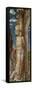 Saint Sebastian, Ca 1459-Andrea Mantegna-Framed Stretched Canvas