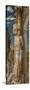 Saint Sebastian, Ca 1459-Andrea Mantegna-Stretched Canvas