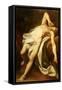 Saint Sebastian-Nicolas-guy Brenet-Framed Stretched Canvas