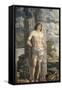 Saint Sebastian-Andrea Mantegna-Framed Stretched Canvas