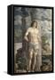 Saint Sebastian-Andrea Mantegna-Framed Stretched Canvas