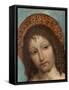 Saint Sebastian-Ambrogio Bergognone-Framed Stretched Canvas