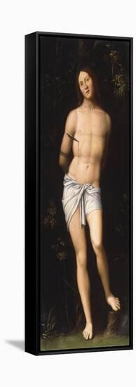 Saint Sebastian-Giovanni Francesco Caroto-Framed Stretched Canvas