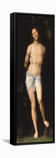 Saint Sebastian-Giovanni Francesco Caroto-Framed Stretched Canvas