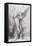 Saint Sébastien-Gustave Moreau-Framed Stretched Canvas