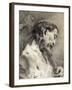 Saint Simon-Giovanni Battista Piazzetta-Framed Giclee Print