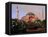 Saint Sophia Church, Hagai Sophia, Istanbul, Turkey-Bill Bachmann-Framed Stretched Canvas