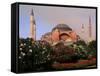 Saint Sophia Church, Hagai Sophia, Istanbul, Turkey-Bill Bachmann-Framed Stretched Canvas