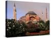 Saint Sophia Church, Hagai Sophia, Istanbul, Turkey-Bill Bachmann-Stretched Canvas