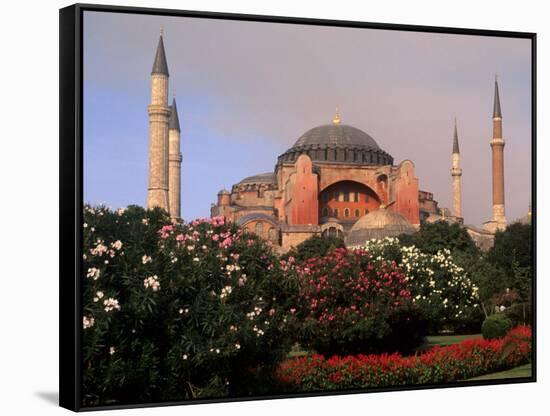 Saint Sophia Church, Hagai Sophia, Istanbul, Turkey-Bill Bachmann-Framed Stretched Canvas