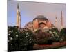 Saint Sophia Church, Hagai Sophia, Istanbul, Turkey-Bill Bachmann-Mounted Photographic Print