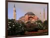 Saint Sophia Church, Hagai Sophia, Istanbul, Turkey-Bill Bachmann-Framed Photographic Print