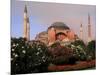 Saint Sophia Church, Hagai Sophia, Istanbul, Turkey-Bill Bachmann-Mounted Photographic Print