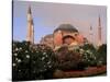 Saint Sophia Church, Hagai Sophia, Istanbul, Turkey-Bill Bachmann-Stretched Canvas