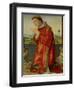 Saint Stephen-Francesco Francia-Framed Premium Giclee Print